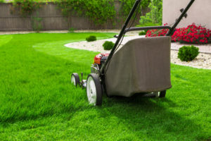 jardinage